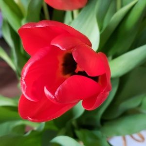 CLOSING CLOSET BY JUNE 30......